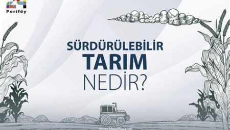 Türkiye'de Yeni Tarım Projeleri: Sürdürülebilir Tarım